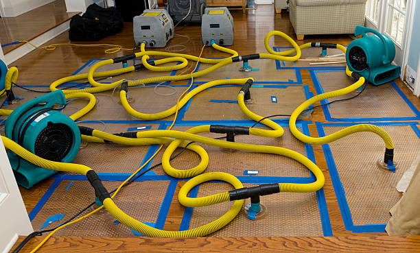 Professional Water Damage Restoration technician working in Sprague, WV